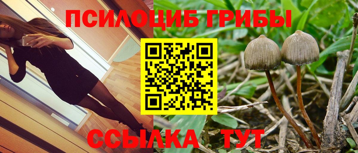 Кумертау  Галлюциногенные грибы мицелий  Вход с VPN 