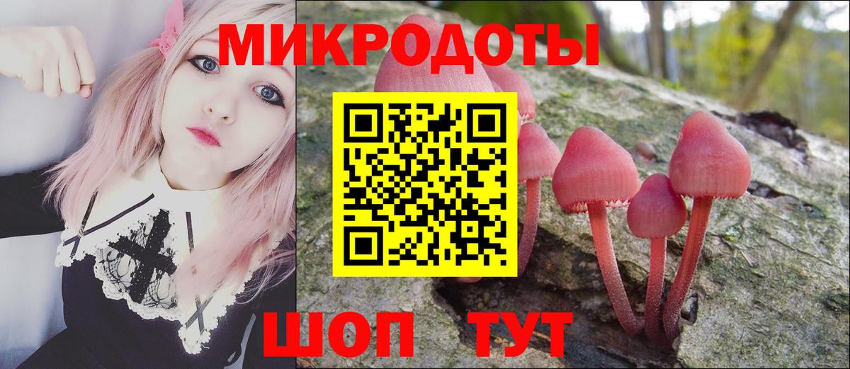 Галлюциногенные грибы Psilocybine cubensis Кумертау